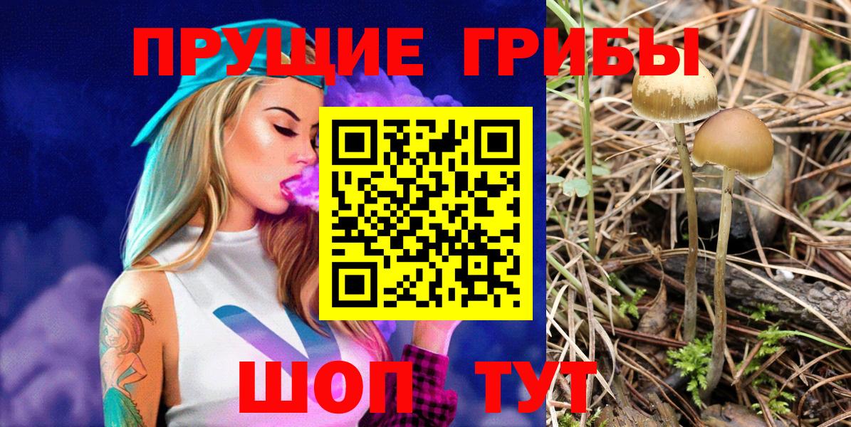 Галлюциногенные грибы GOLDEN TEACHER  Вход с VPN  Новый Уренгой 