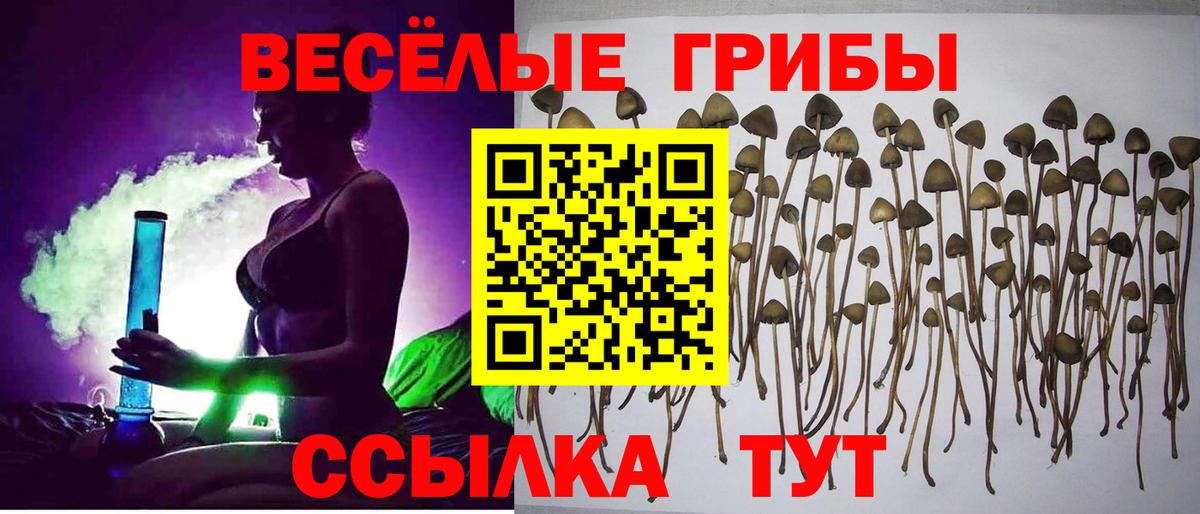 Галлюциногенные грибы MAGIC MUSHROOMS Новый Уренгой