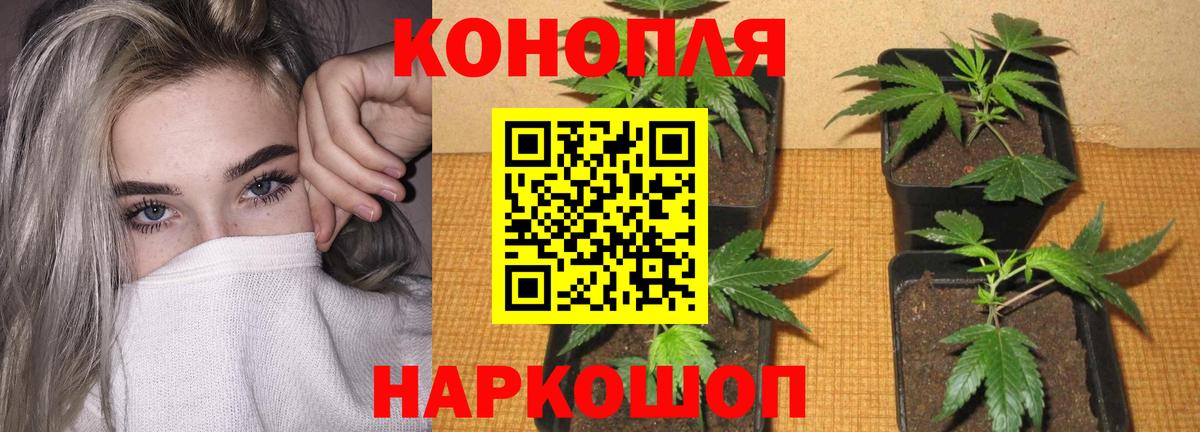 Марихуана тримм  Конопля LSD WEED  Вход с VPN  Конопля LSD WEED  Новый Уренгой 
